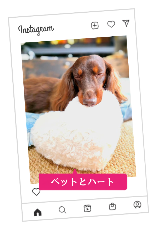 ハート写真の投稿例01